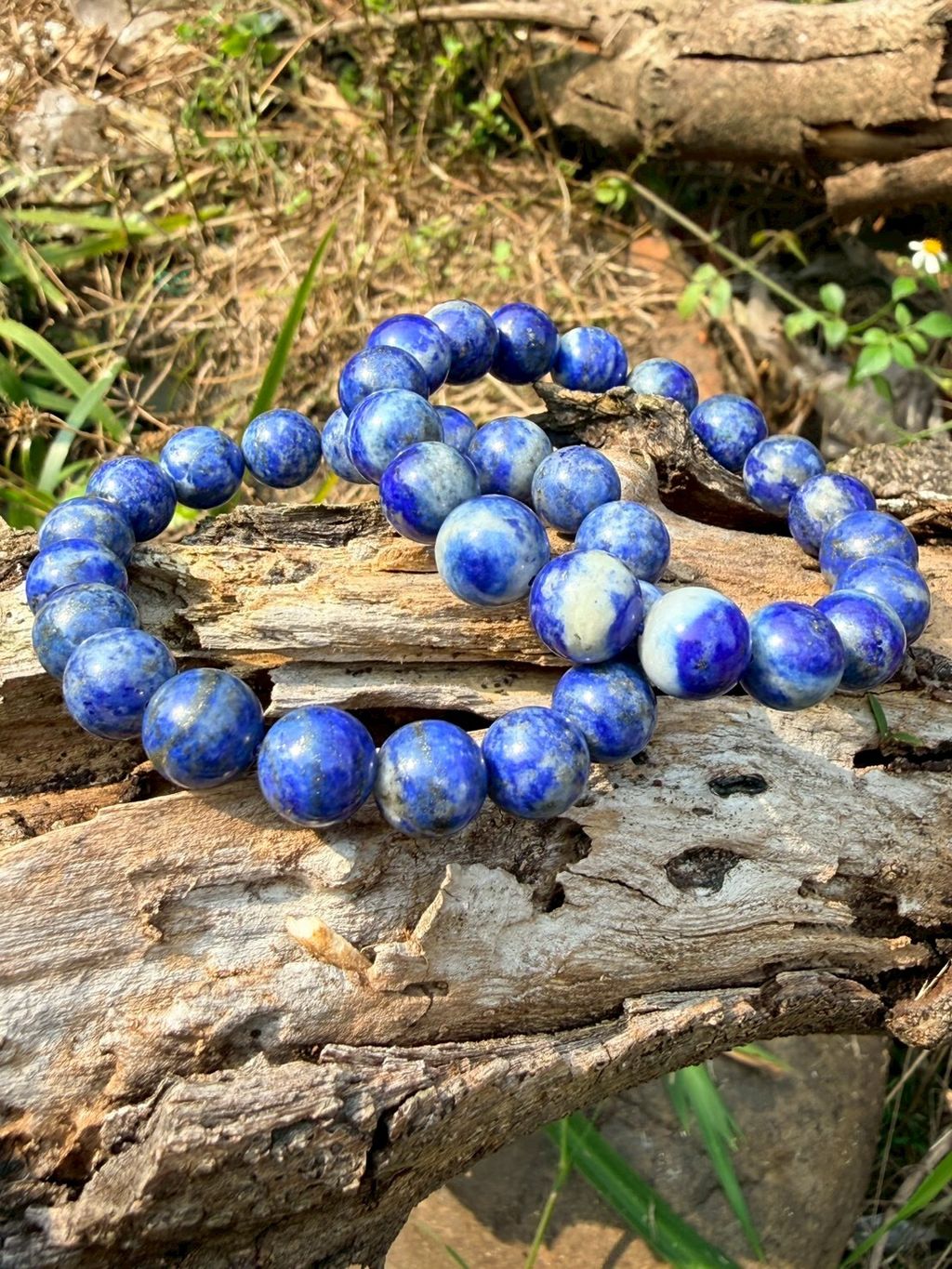 LINE_ALBUM_2026413_260413_16