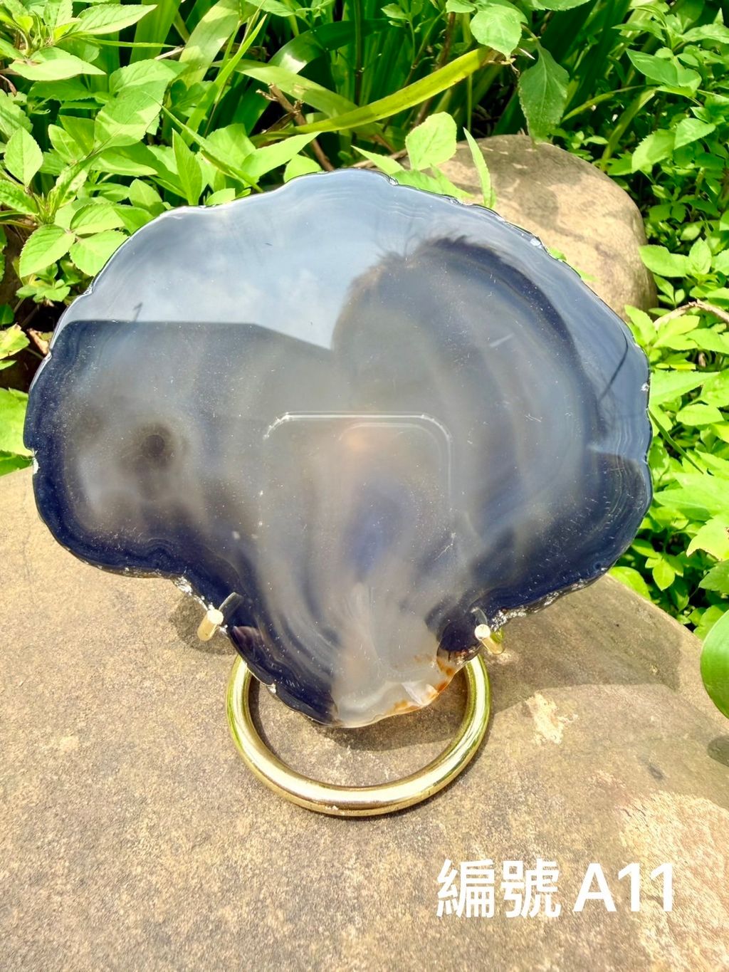 S__316563459_0
