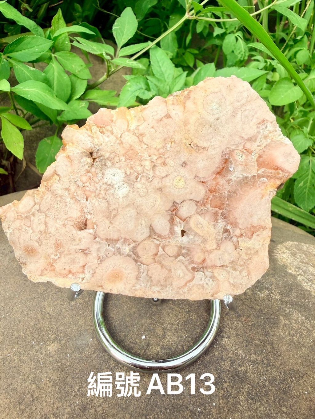 LINE_ALBUM_淨化片-櫻花瑪瑙_260603_12