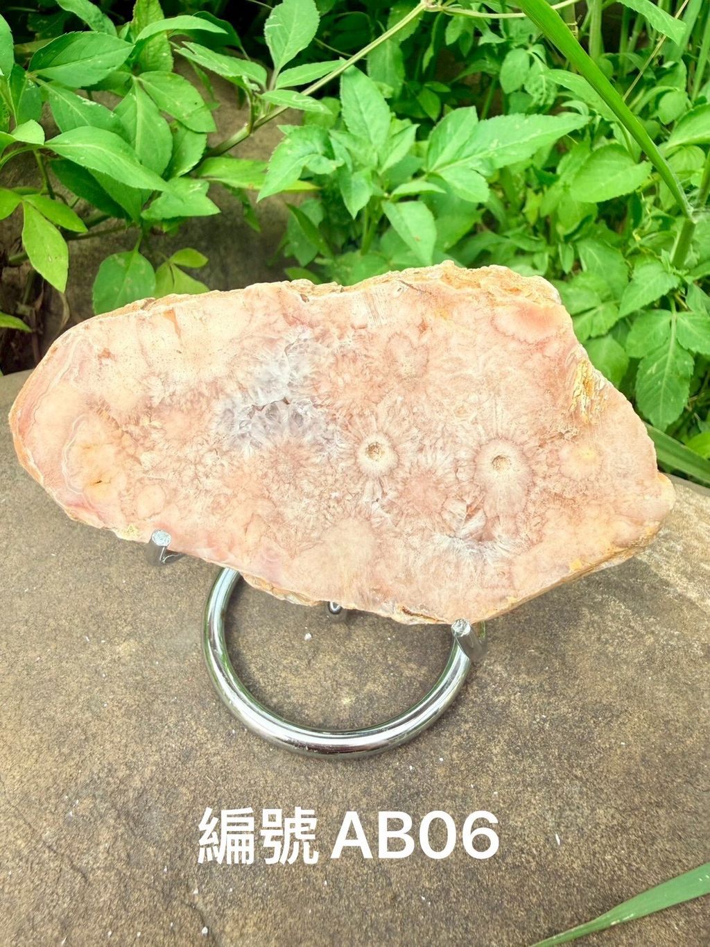 LINE_ALBUM_淨化片-櫻花瑪瑙_260603_5