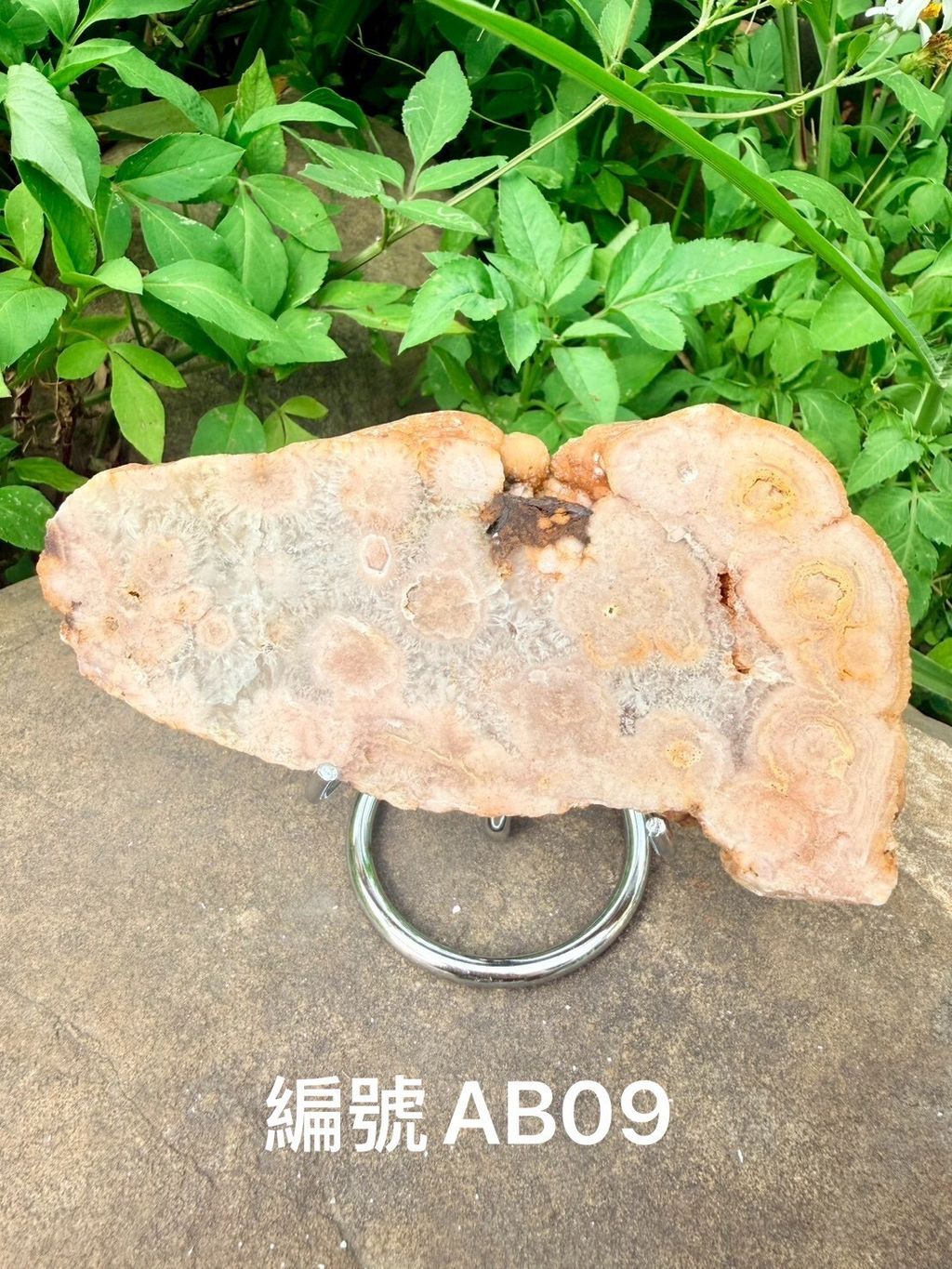 LINE_ALBUM_淨化片-櫻花瑪瑙_260603_9