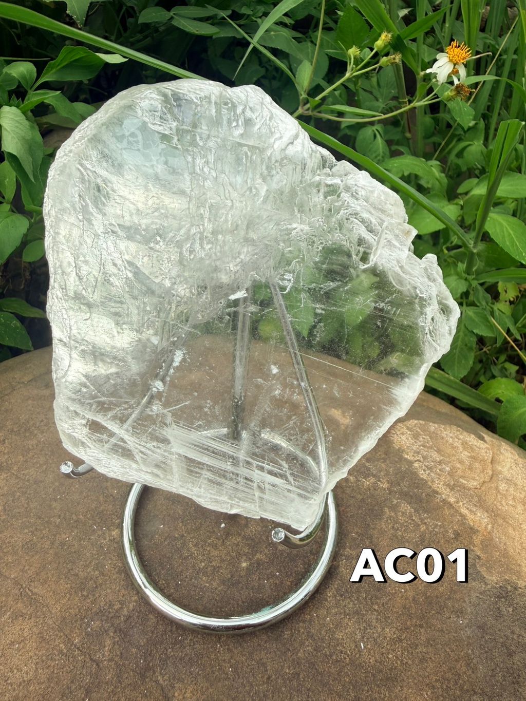 S__4603915_0