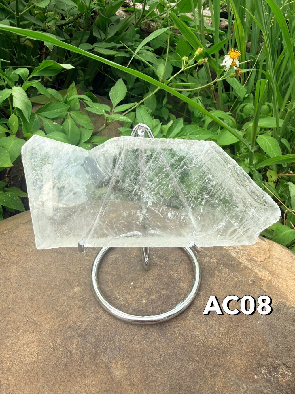 S__4603922_0