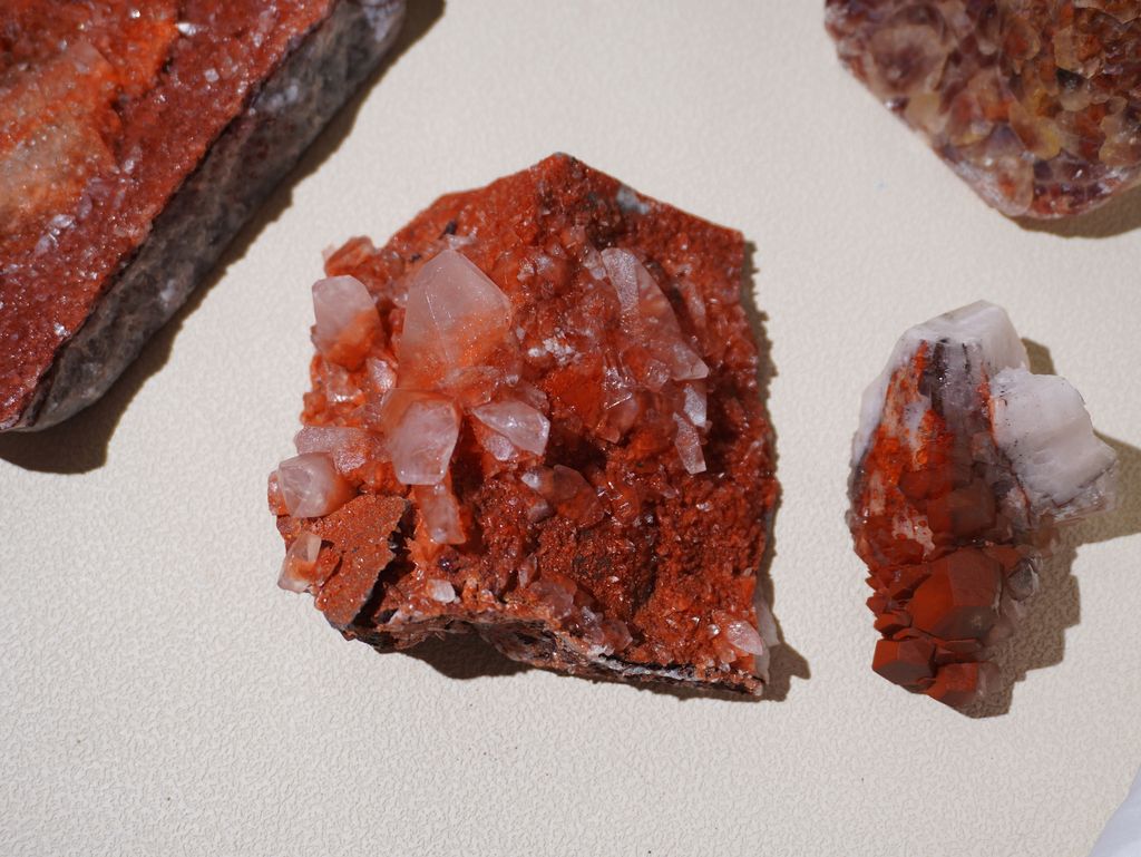 DSC06520