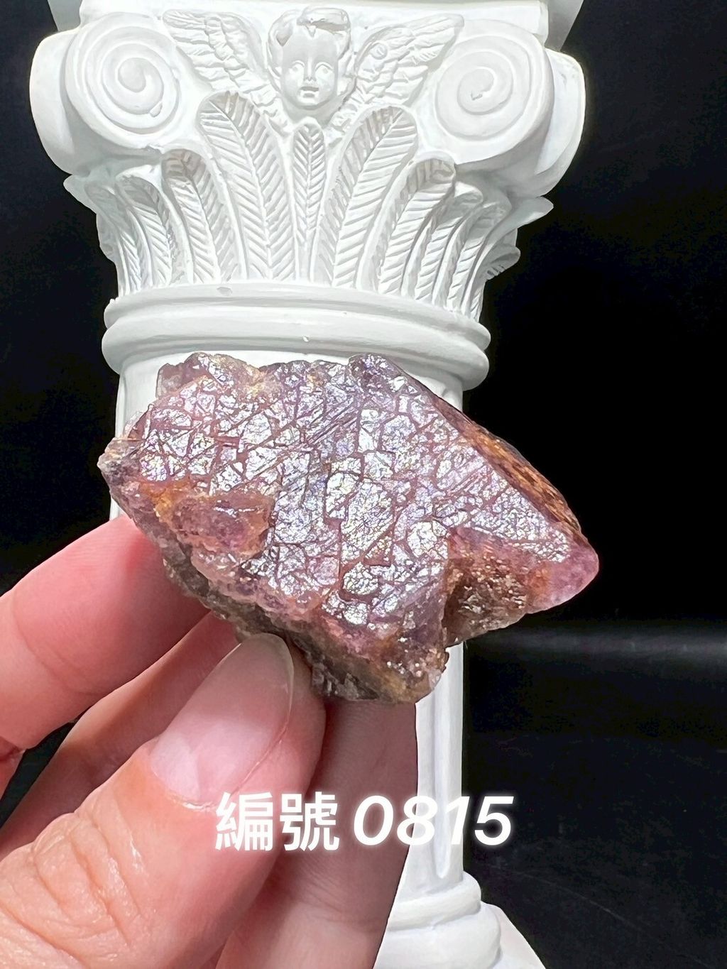 LINE_ALBUM_蝦皮上架0813_250603_5