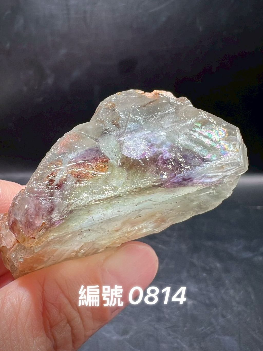 LINE_ALBUM_蝦皮上架0813_250603_6