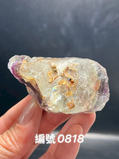 LINE_ALBUM_蝦皮上架0813_250603_2