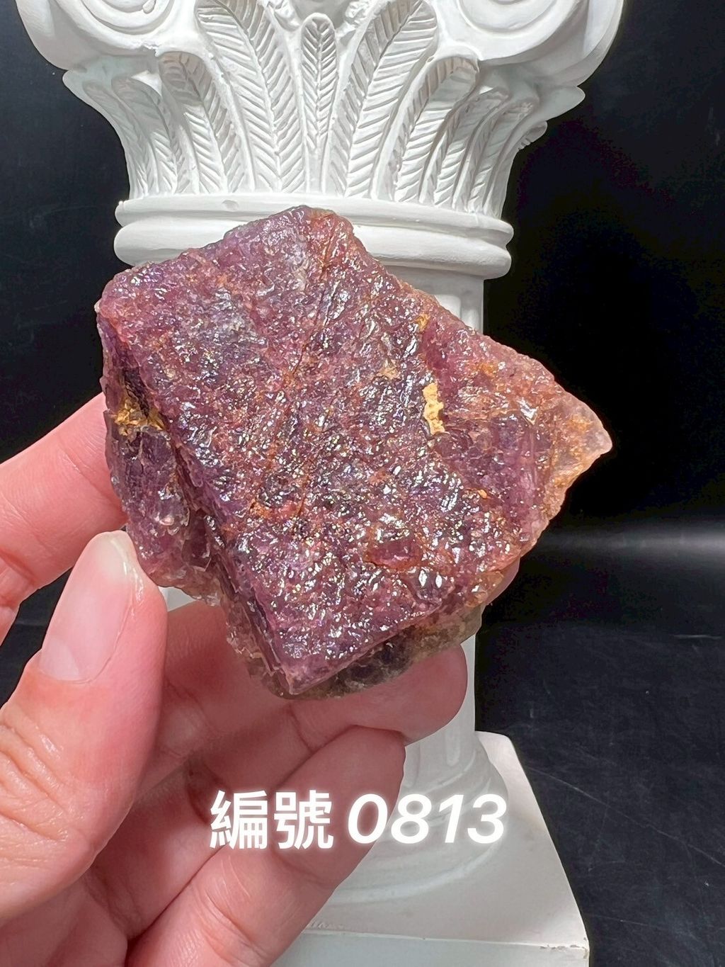 LINE_ALBUM_蝦皮上架0813_250603_7