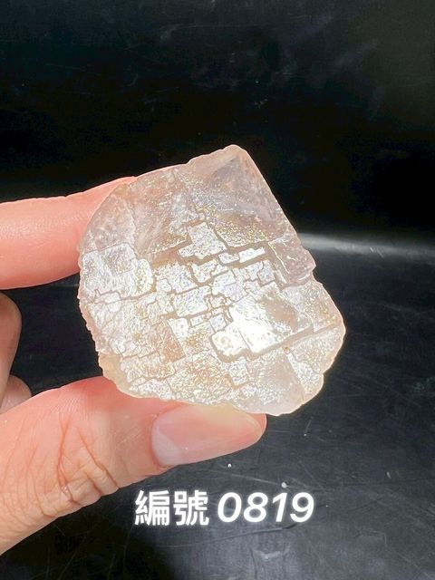 LINE_ALBUM_蝦皮上架0813_250603_1