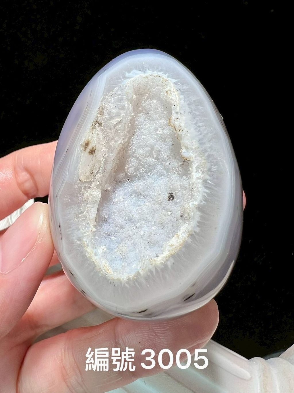 LINE_ALBUM_瑪瑙恐龍蛋_250903_2