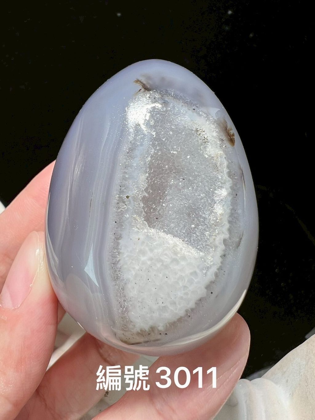 LINE_ALBUM_瑪瑙恐龍蛋_250903_8