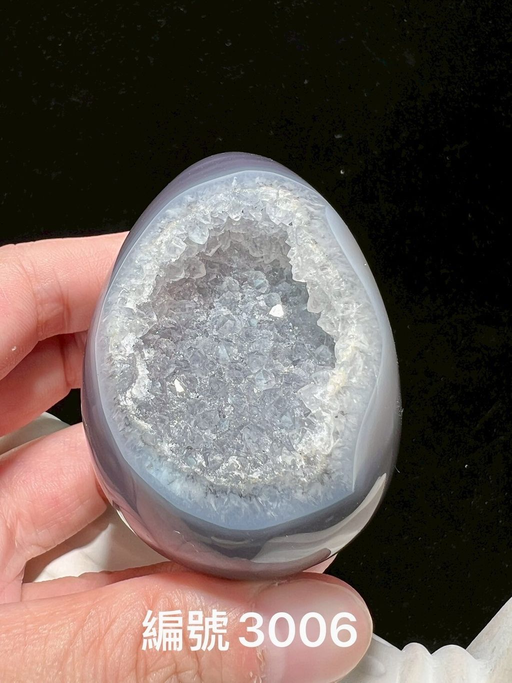 LINE_ALBUM_瑪瑙恐龍蛋_250903_1