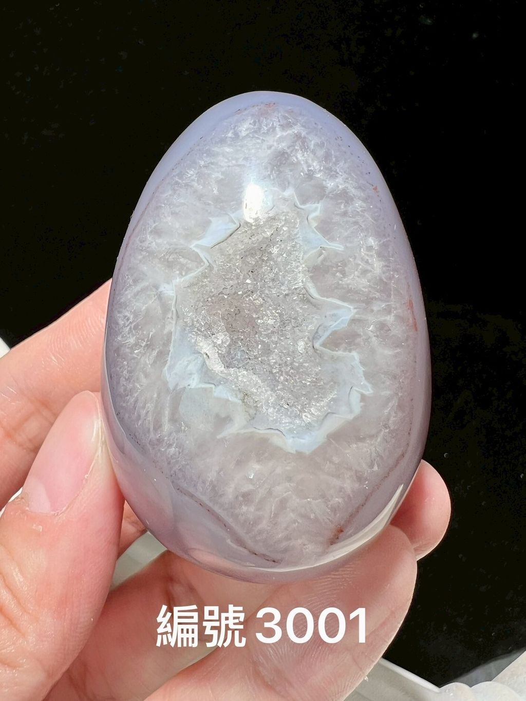 LINE_ALBUM_瑪瑙恐龍蛋_250903_6