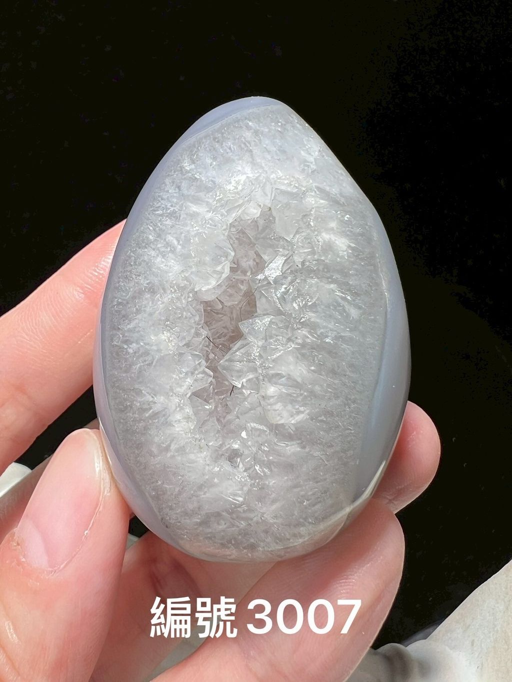 LINE_ALBUM_瑪瑙恐龍蛋_250903_11