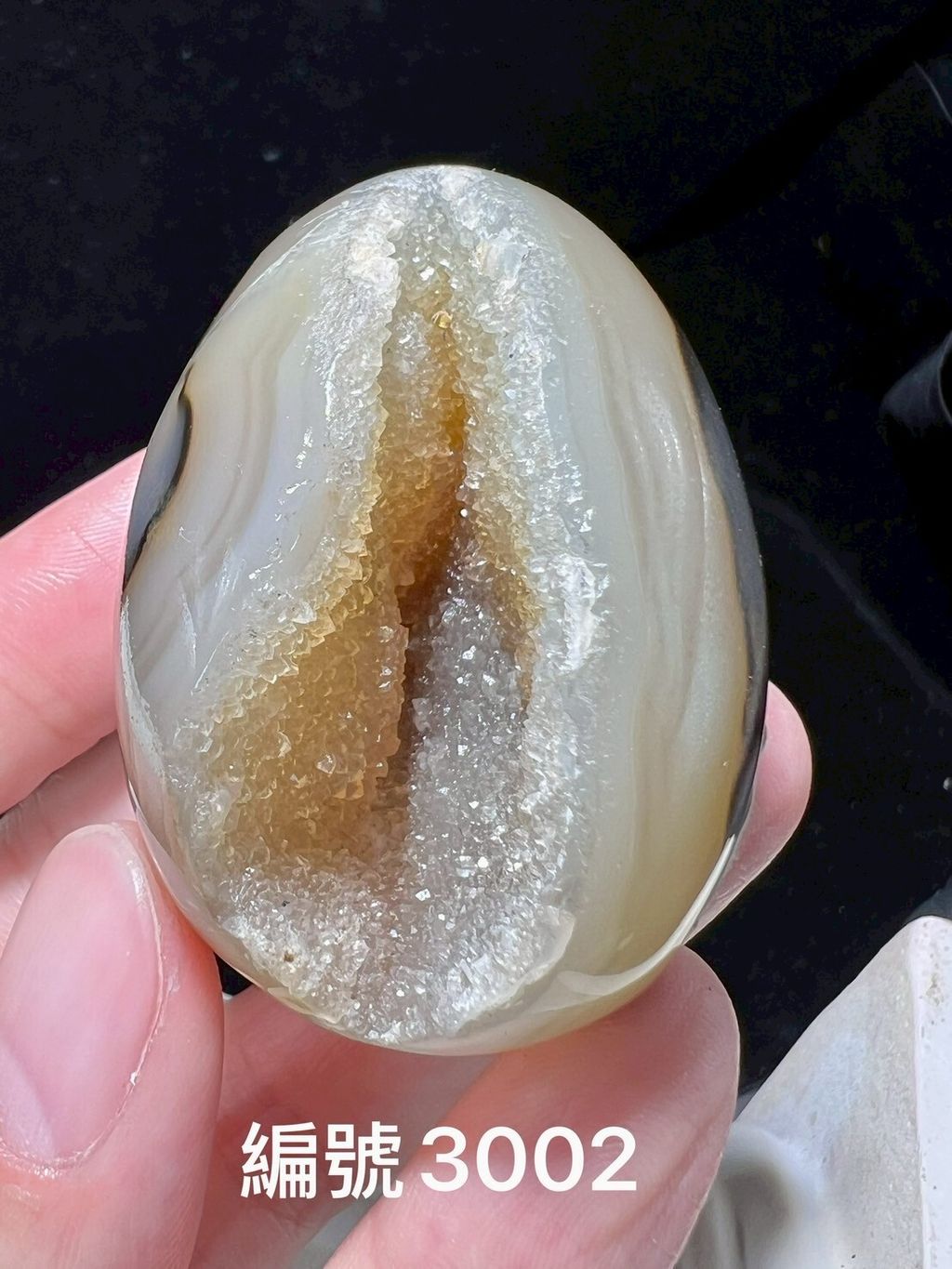 LINE_ALBUM_瑪瑙恐龍蛋_250903_5