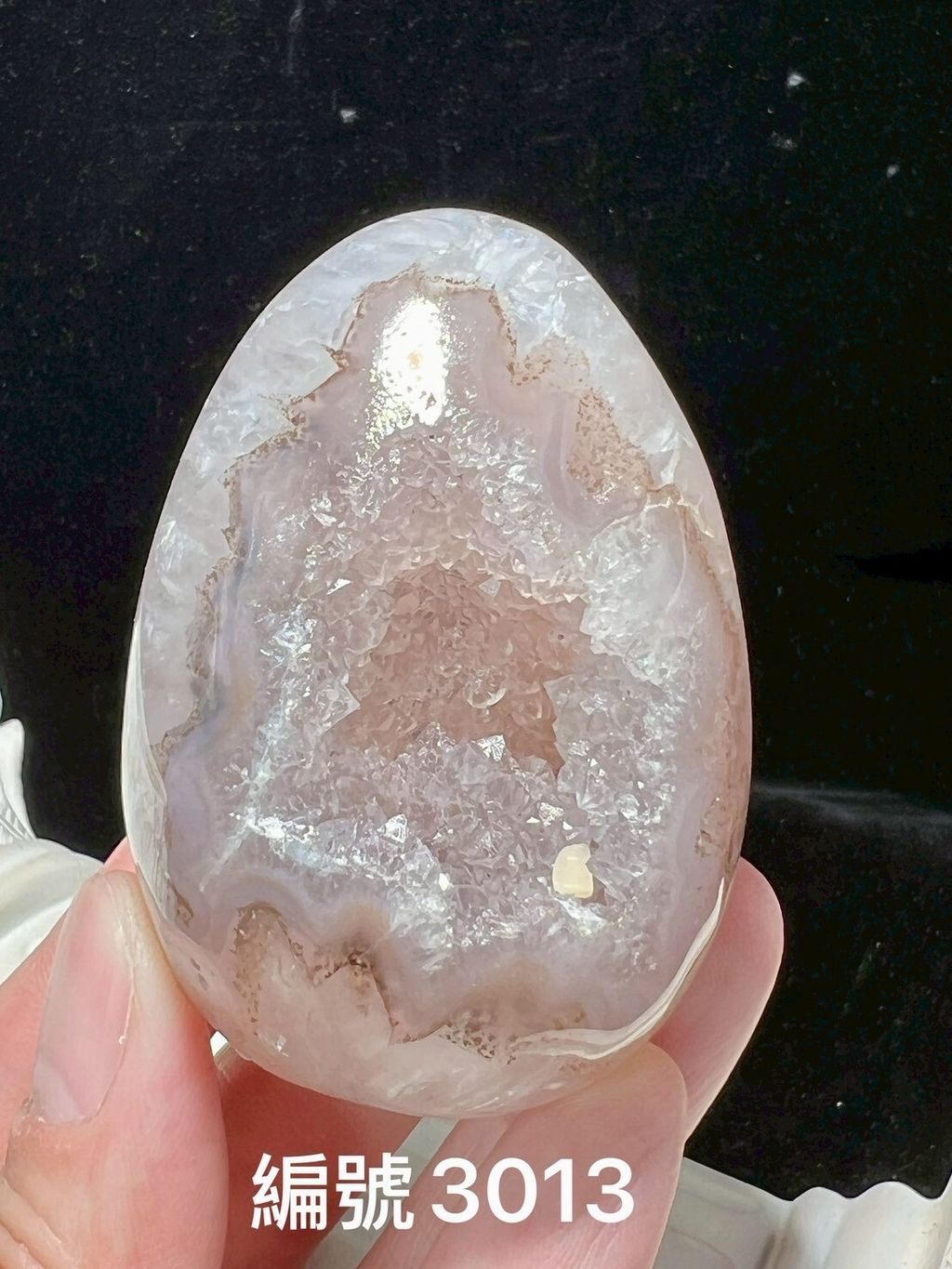 LINE_ALBUM_瑪瑙恐龍蛋_250903_16