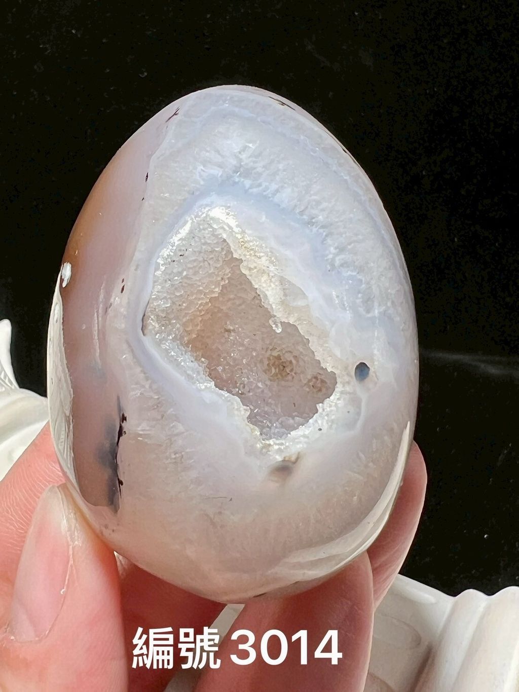 LINE_ALBUM_瑪瑙恐龍蛋_250903_15