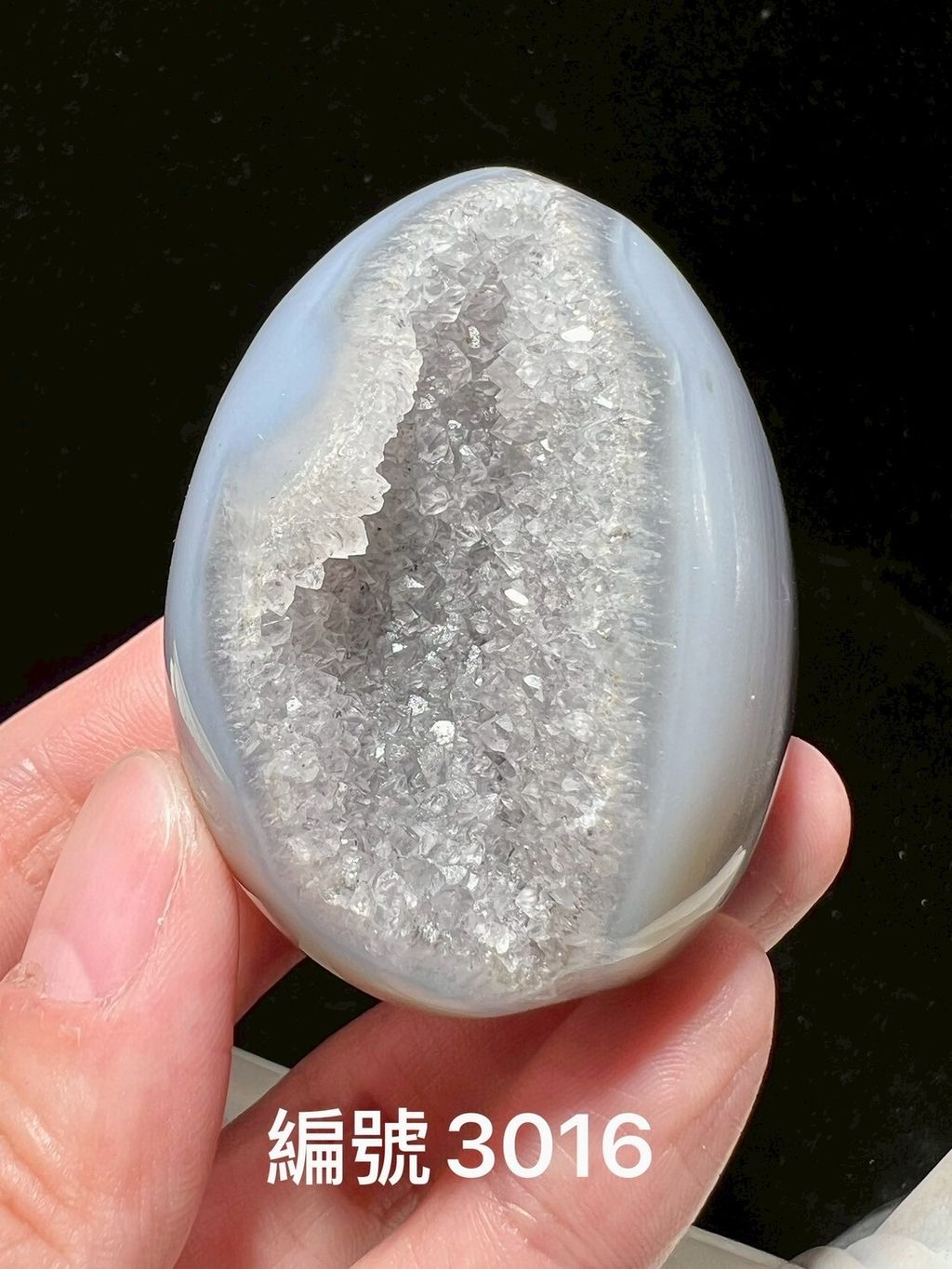 LINE_ALBUM_瑪瑙恐龍蛋_250903_13