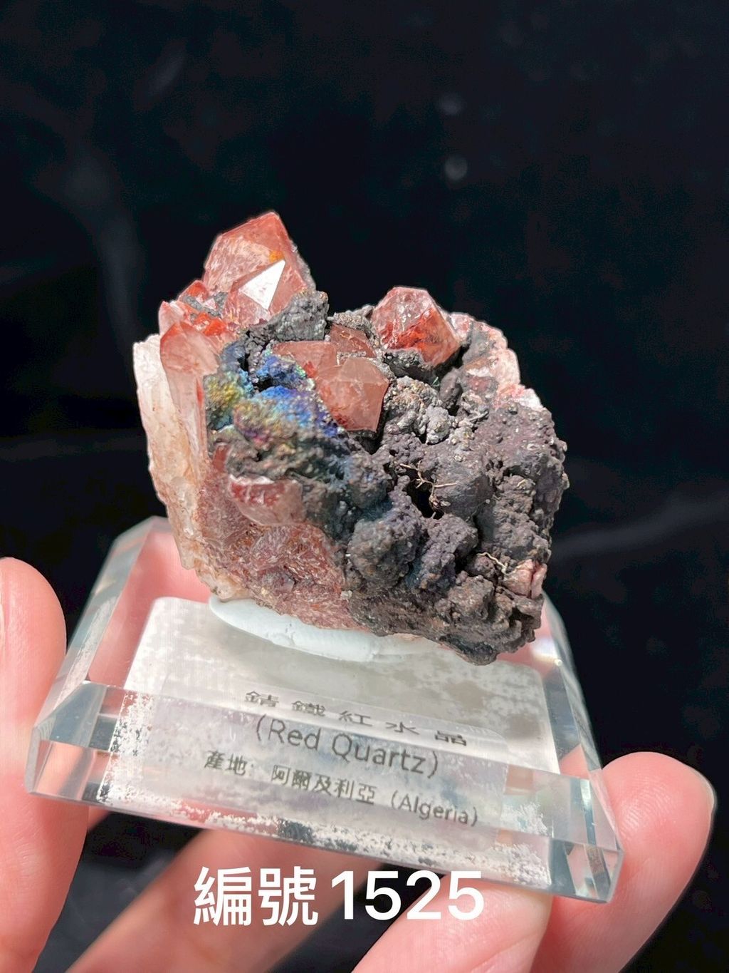 LINE_ALBUM_鎗鐵紅水晶_250909_16