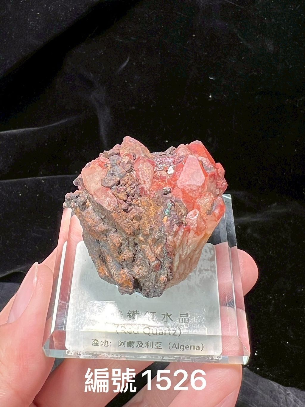 LINE_ALBUM_鎗鐵紅水晶_250909_14