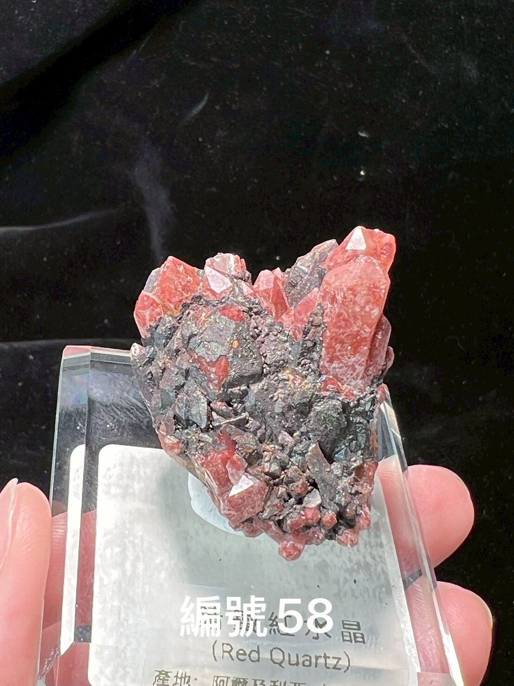 LINE_ALBUM_鎗鐵紅水晶_250909_13