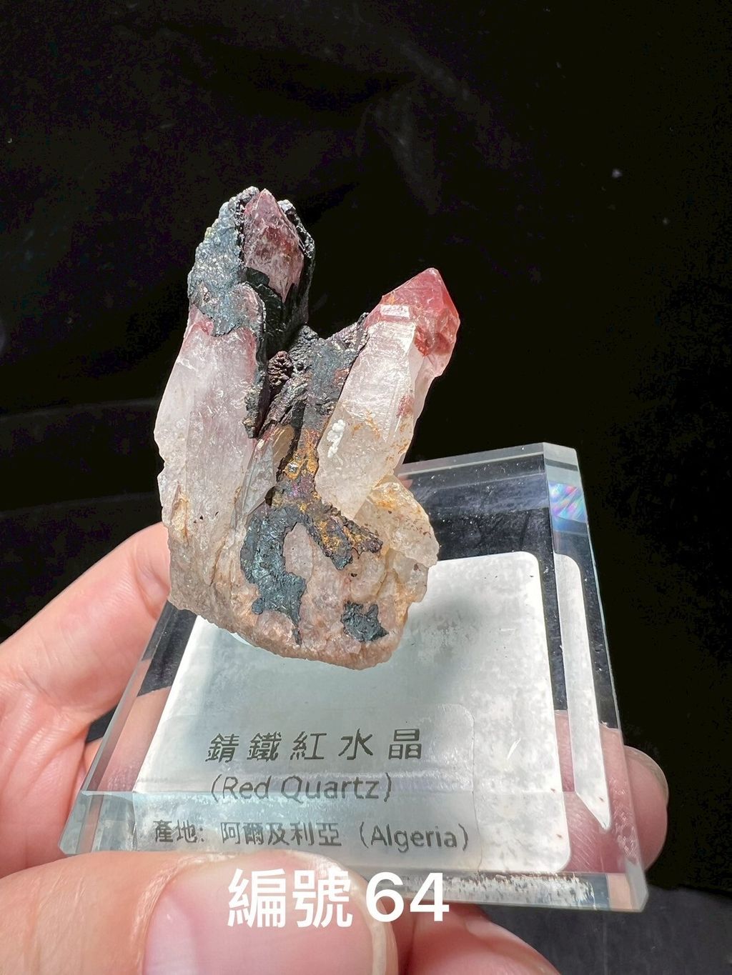 LINE_ALBUM_鎗鐵紅水晶_250909_11