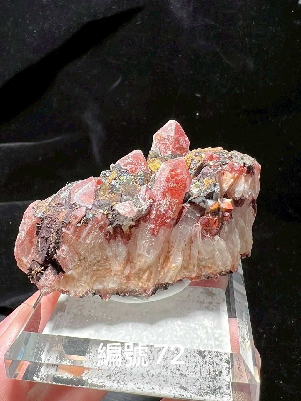 LINE_ALBUM_鎗鐵紅水晶_250909_9