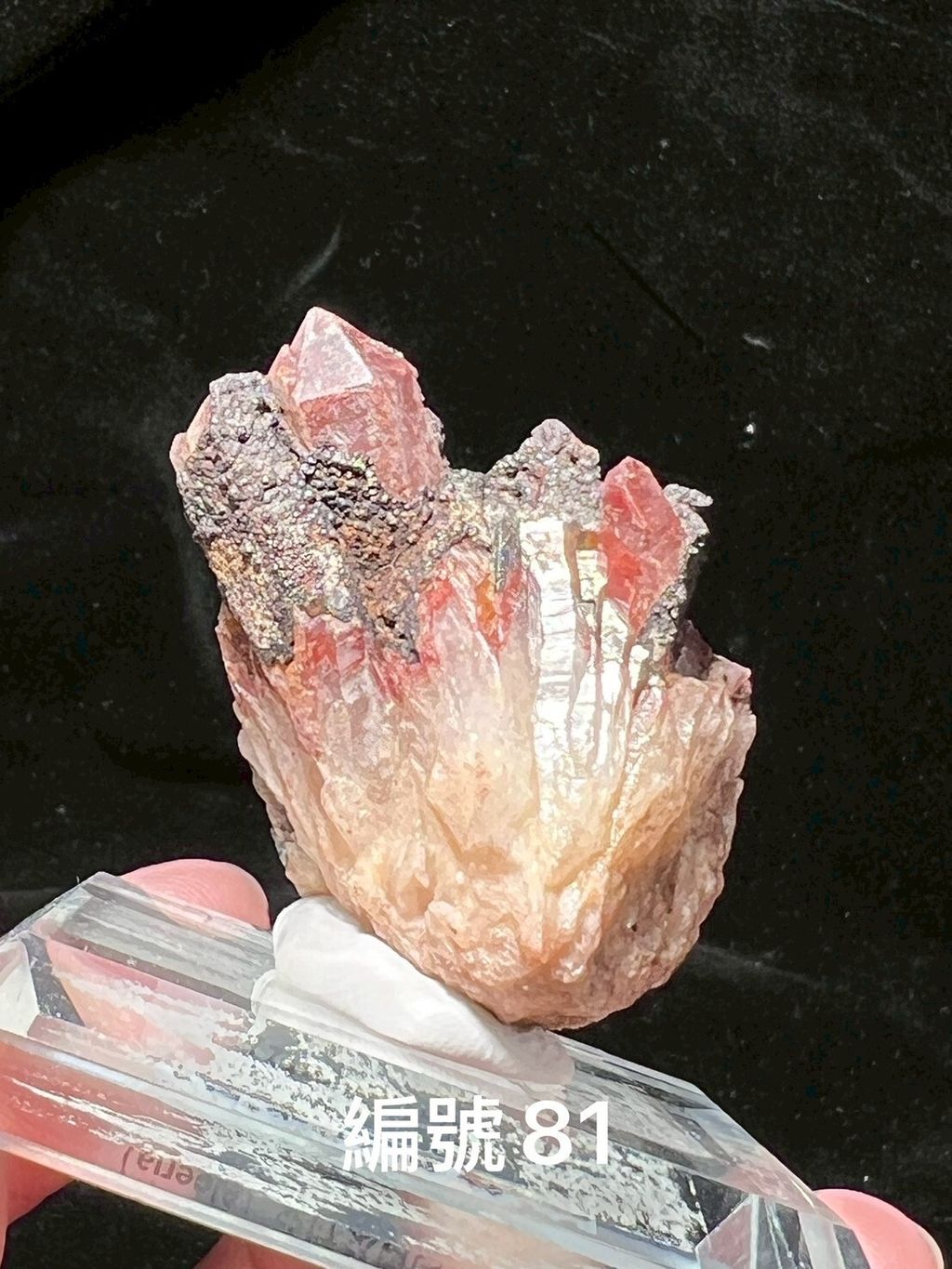 LINE_ALBUM_鎗鐵紅水晶_250909_3