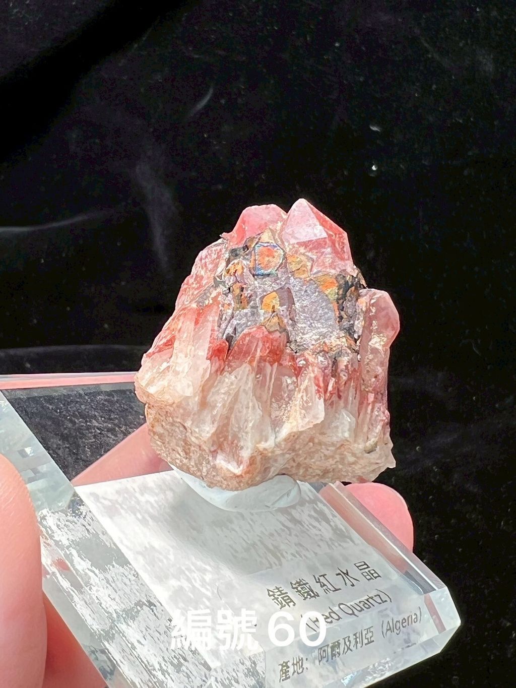 LINE_ALBUM_鎗鐵紅水晶_250909_12