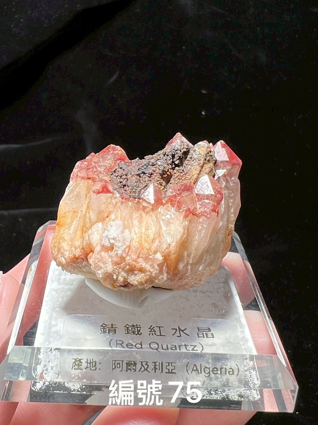 LINE_ALBUM_鎗鐵紅水晶_250909_8