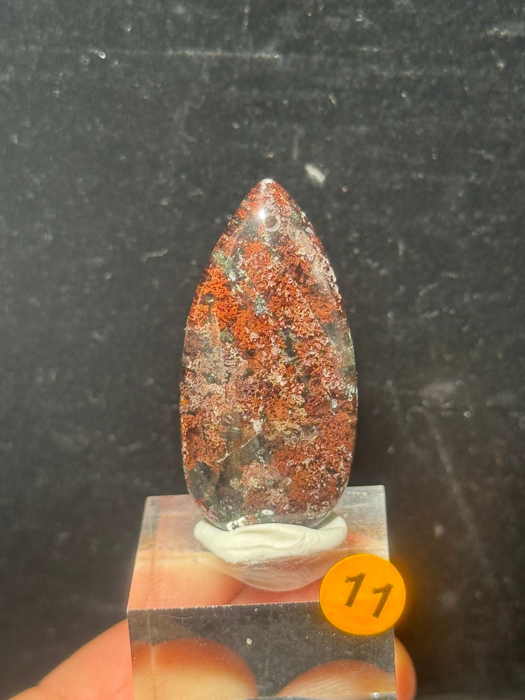 image_3A0E2349-2C9D-417B-92C0-0990D0439753_1772182809