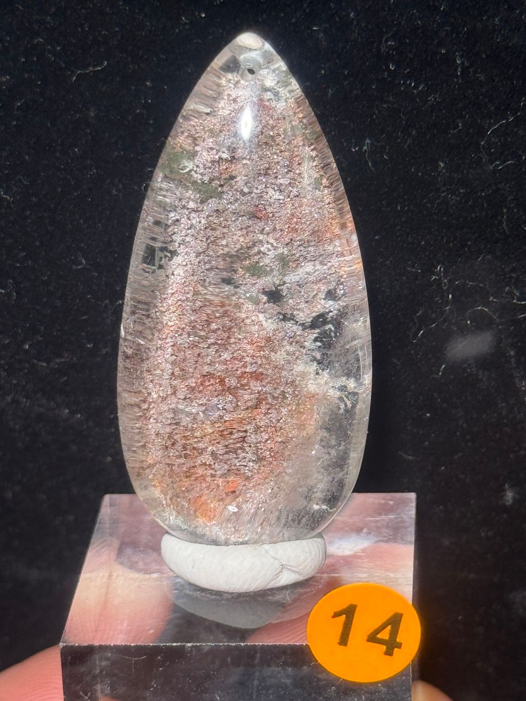 image_8FE3C02A-1990-4FF7-87A2-96A535DA1B55_1772182809