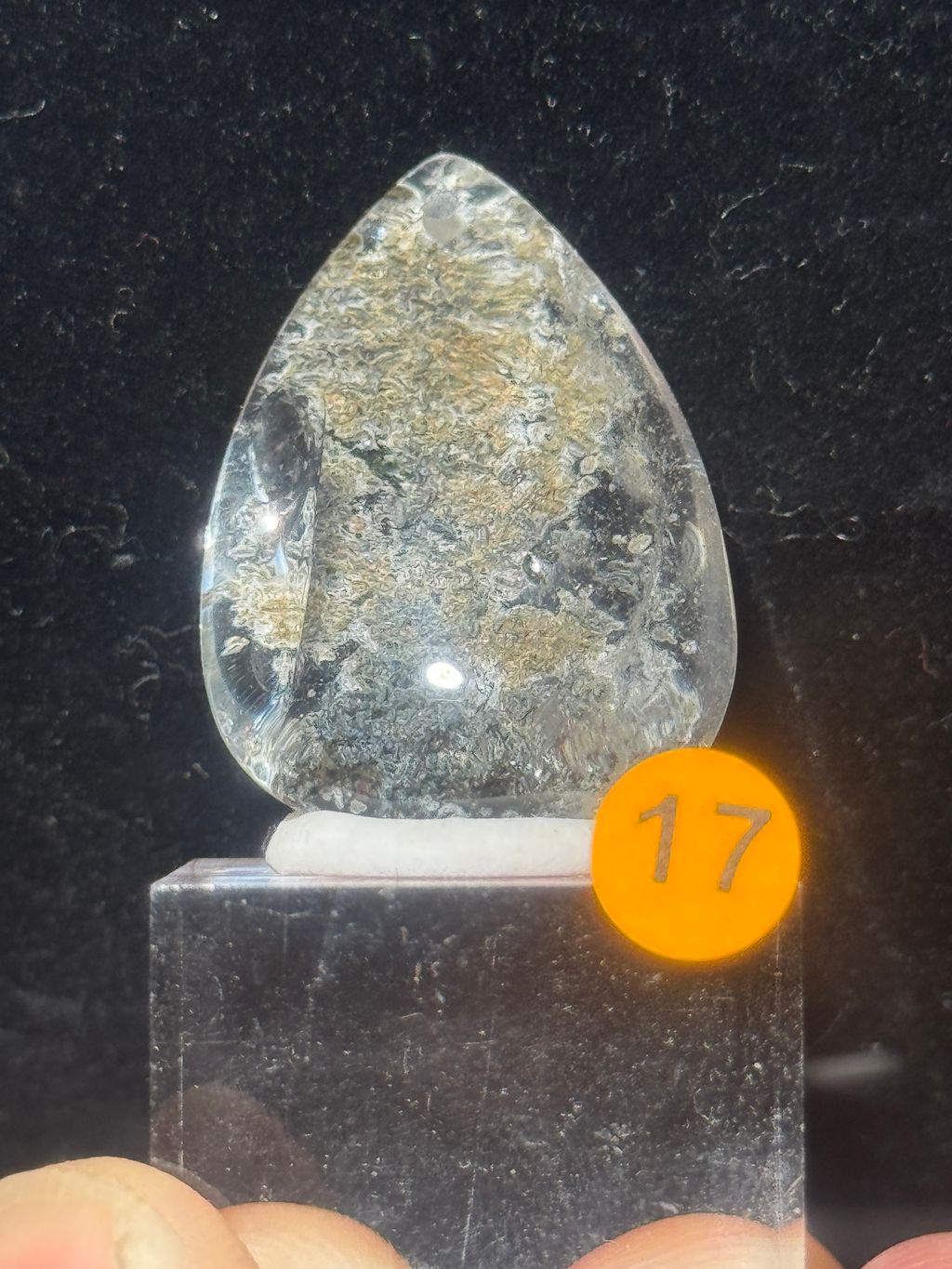 image_BEFA6F41-7CAE-4A30-AA39-FF0D73D19D93_1772182810