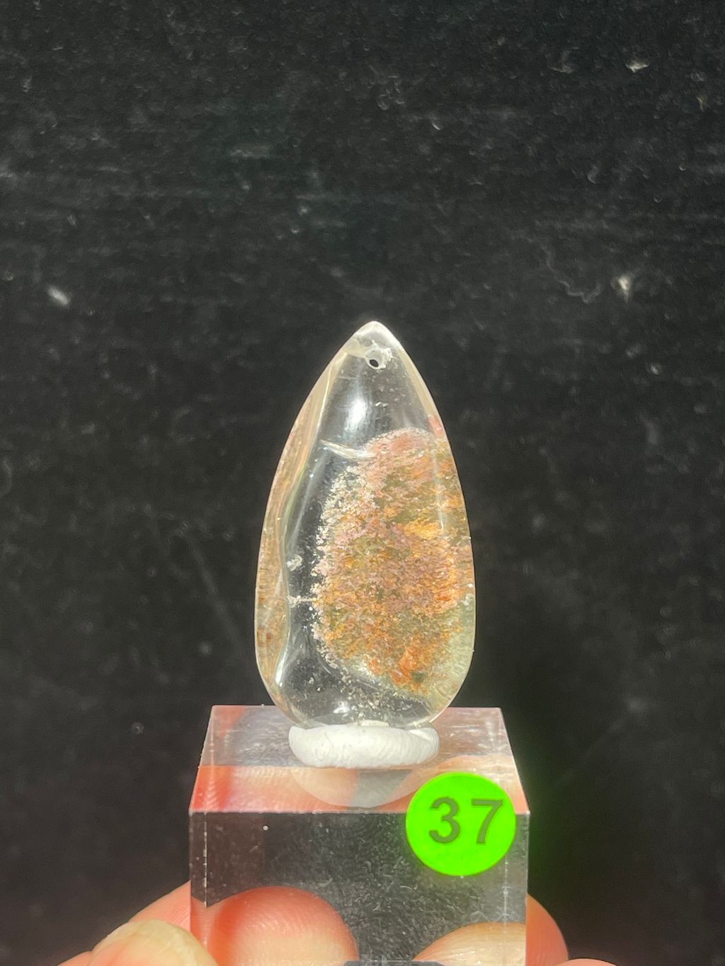 image_B79BF025-078D-4B77-B30C-44D9EF7B654A_1772185117