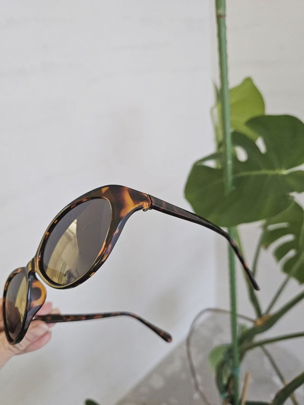 image_766D37F4-BB07-43EB-8D81-E07067A459A6_1775711895