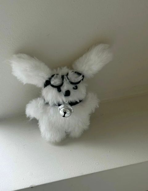 IMG_9962-1701252439654