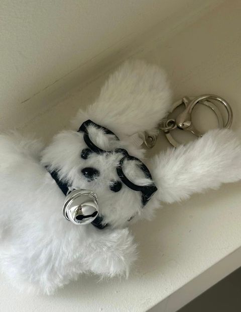 IMG_9960-1701252439709