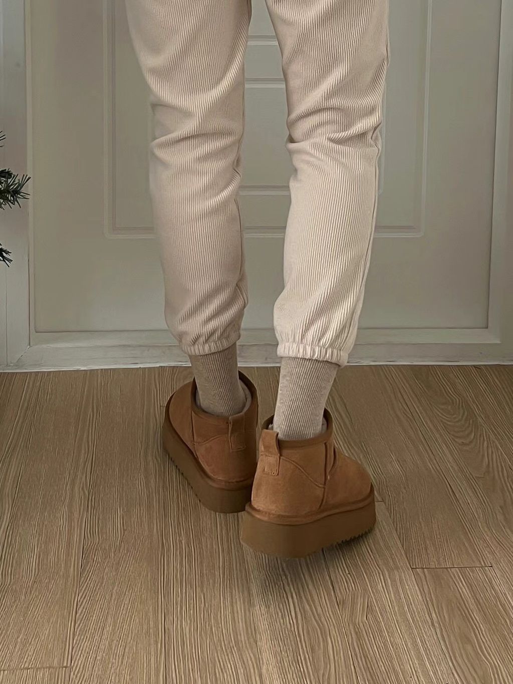 IMG_2163-1701913521034