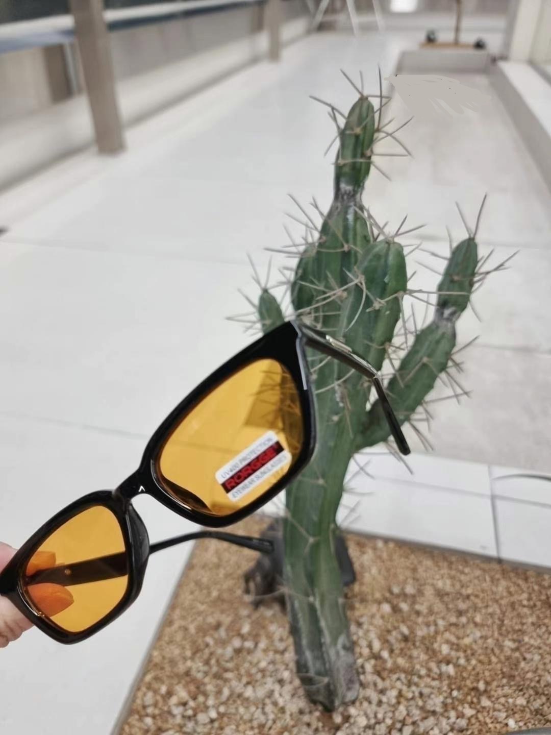 IMG_0667-1716005774961