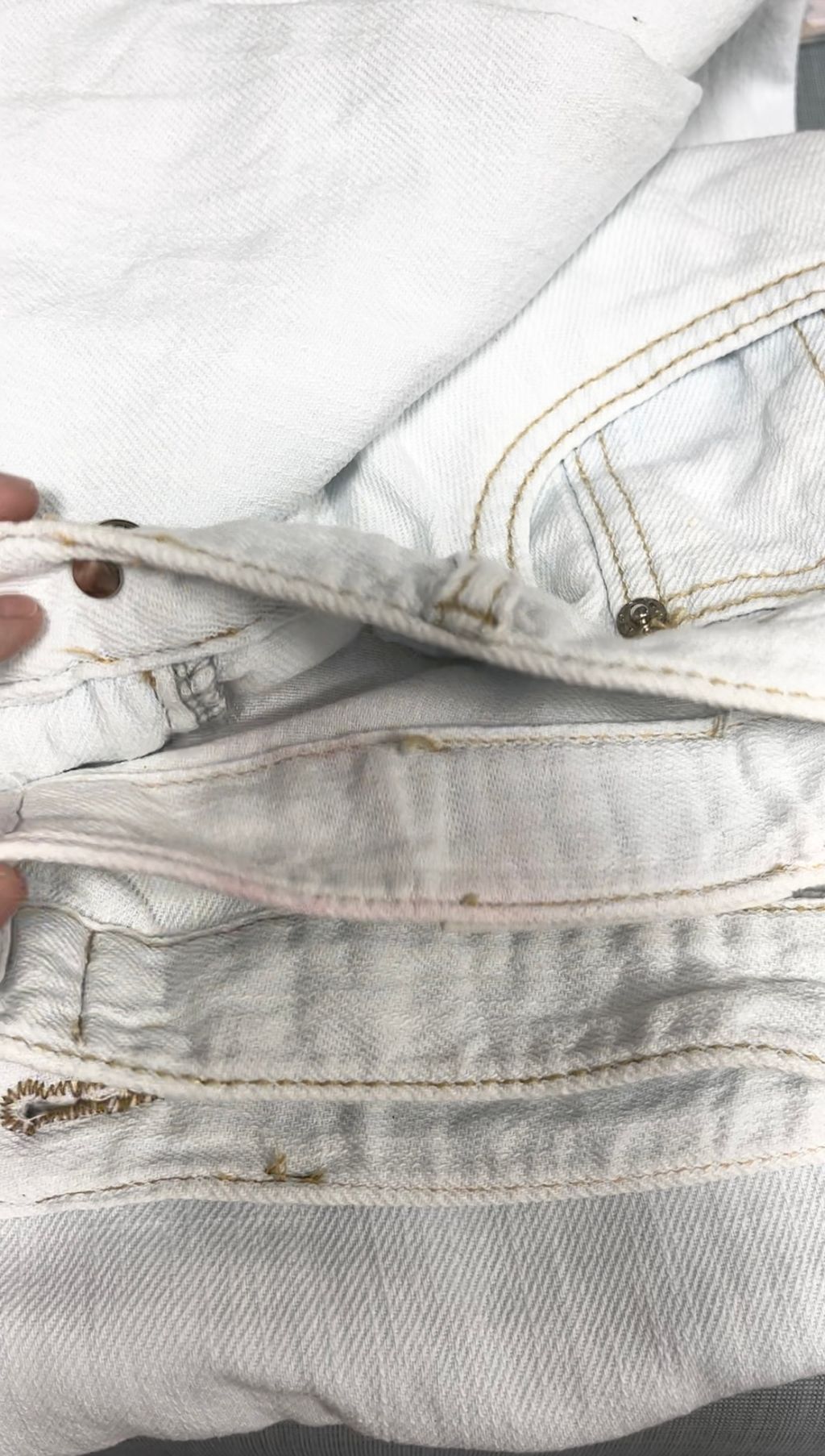 IMG_4113-1724856026031