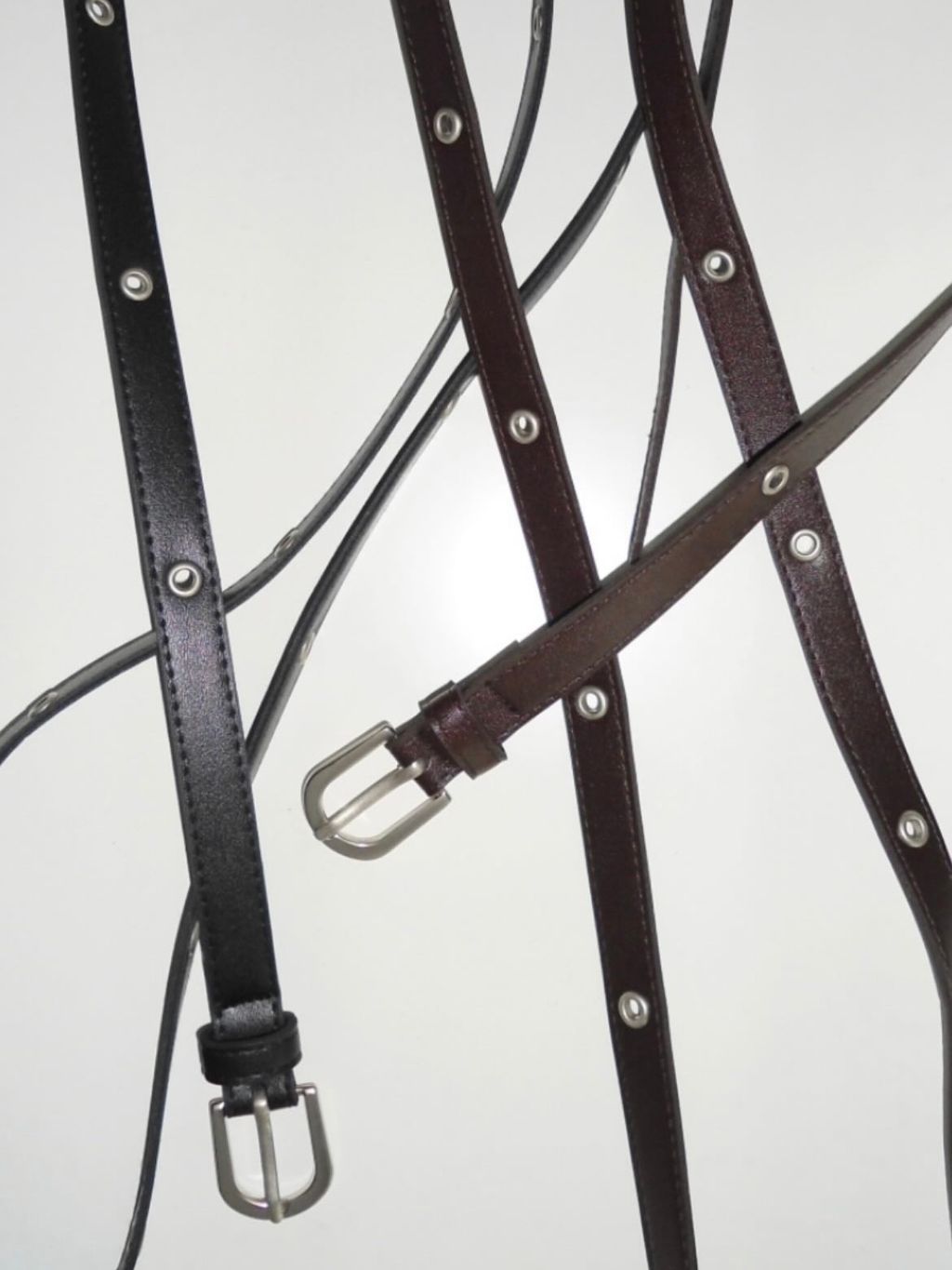 IMG_5096-1727002165561