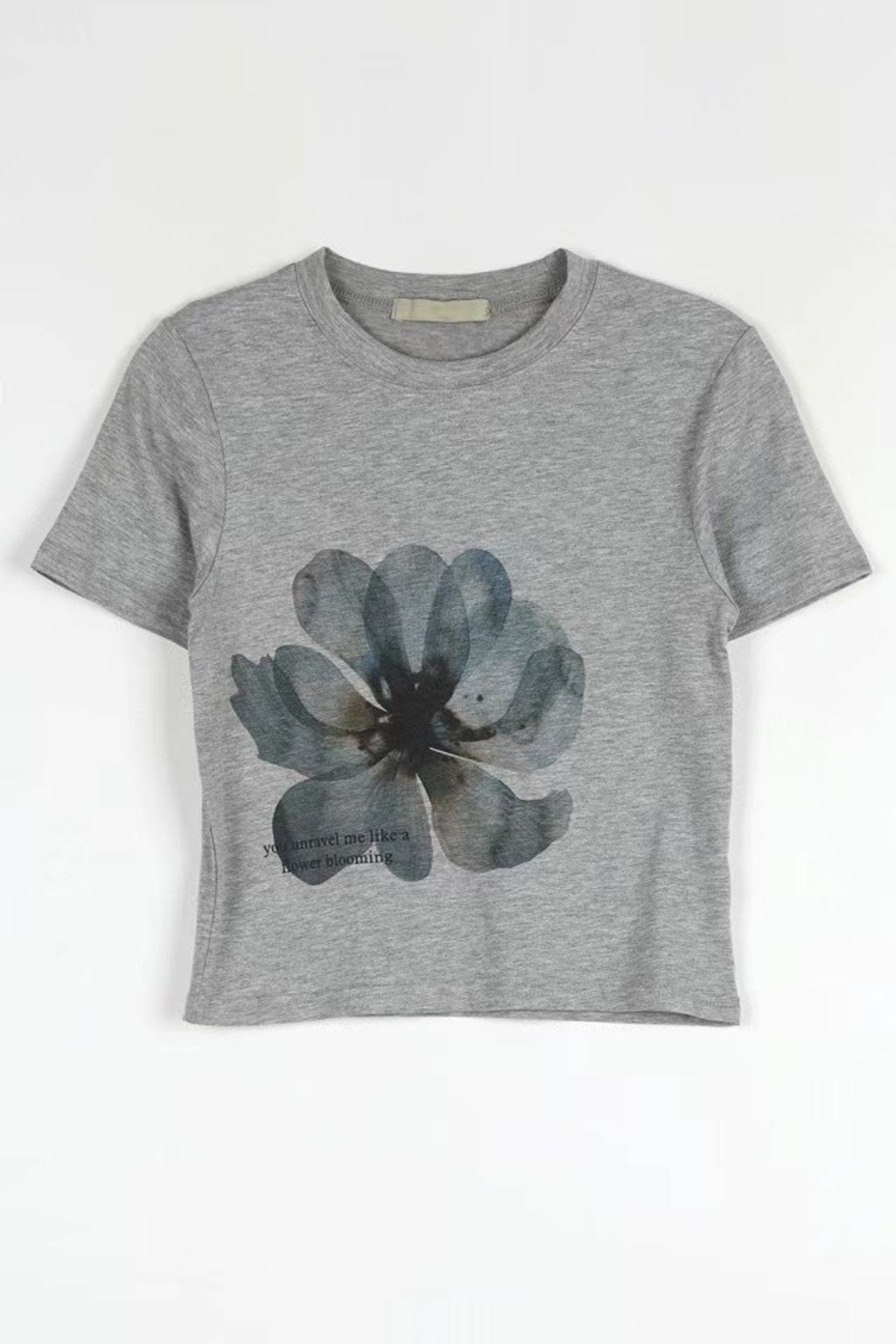 IMG_6507-1727579505095