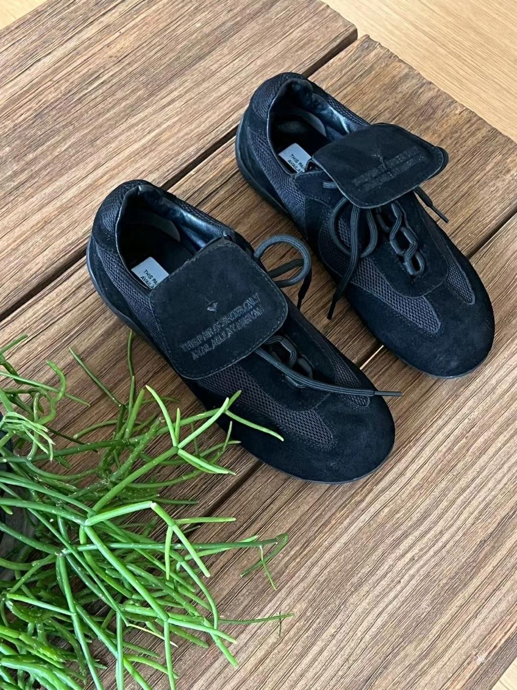 IMG_5178-1727586174920