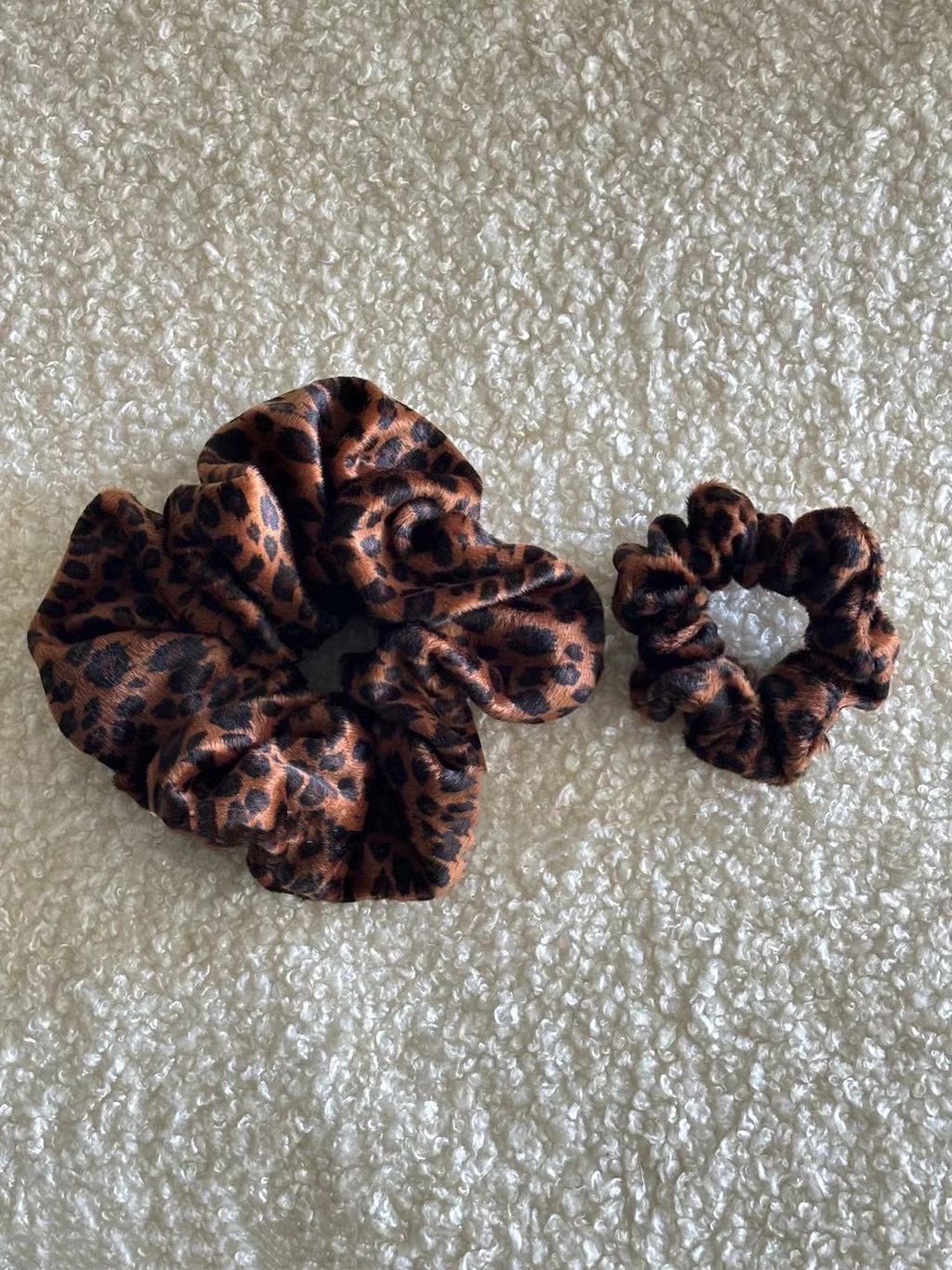 IMG_8576-1730779870951