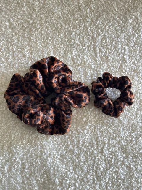 IMG_8576-1730779870951