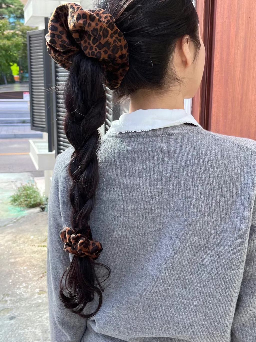 IMG_8573-1730779871333