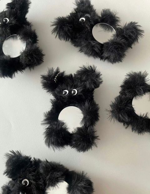 IMG_8559-1730779905600