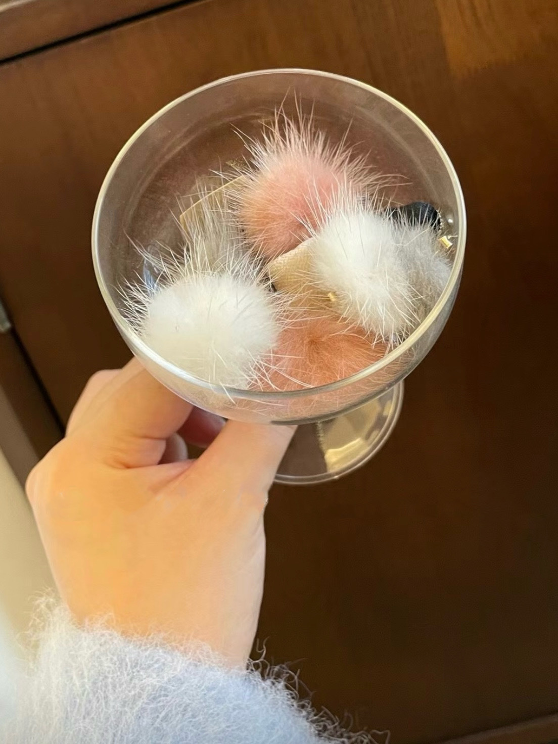 IMG_3402-1734067592973