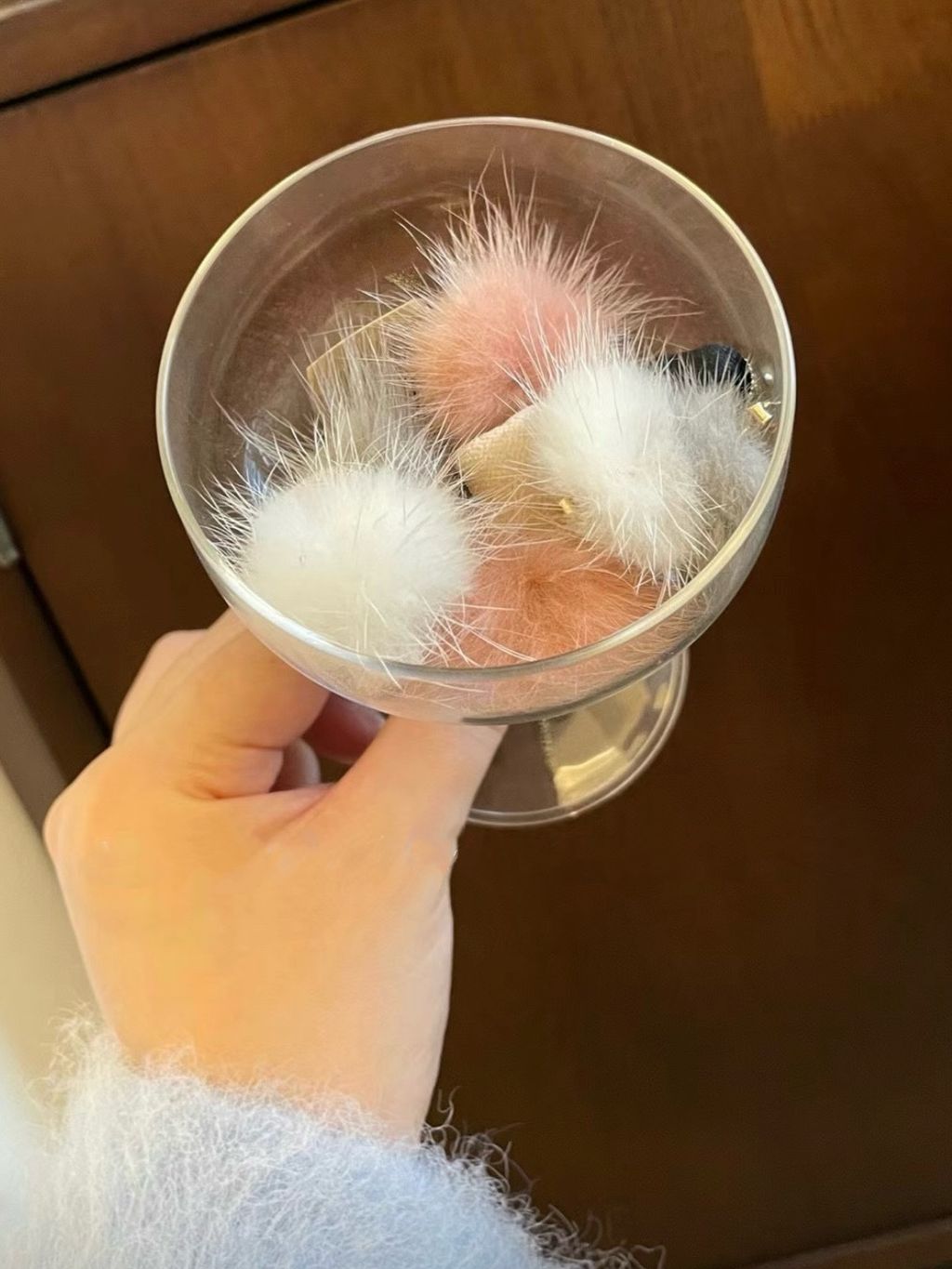 IMG_3402-1734067592973