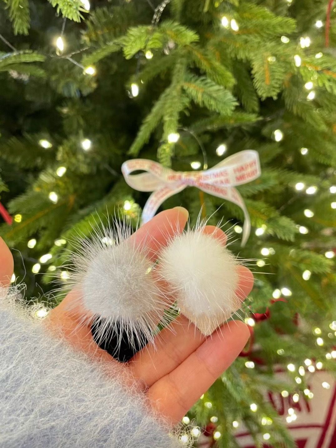 IMG_3401-1734067593043